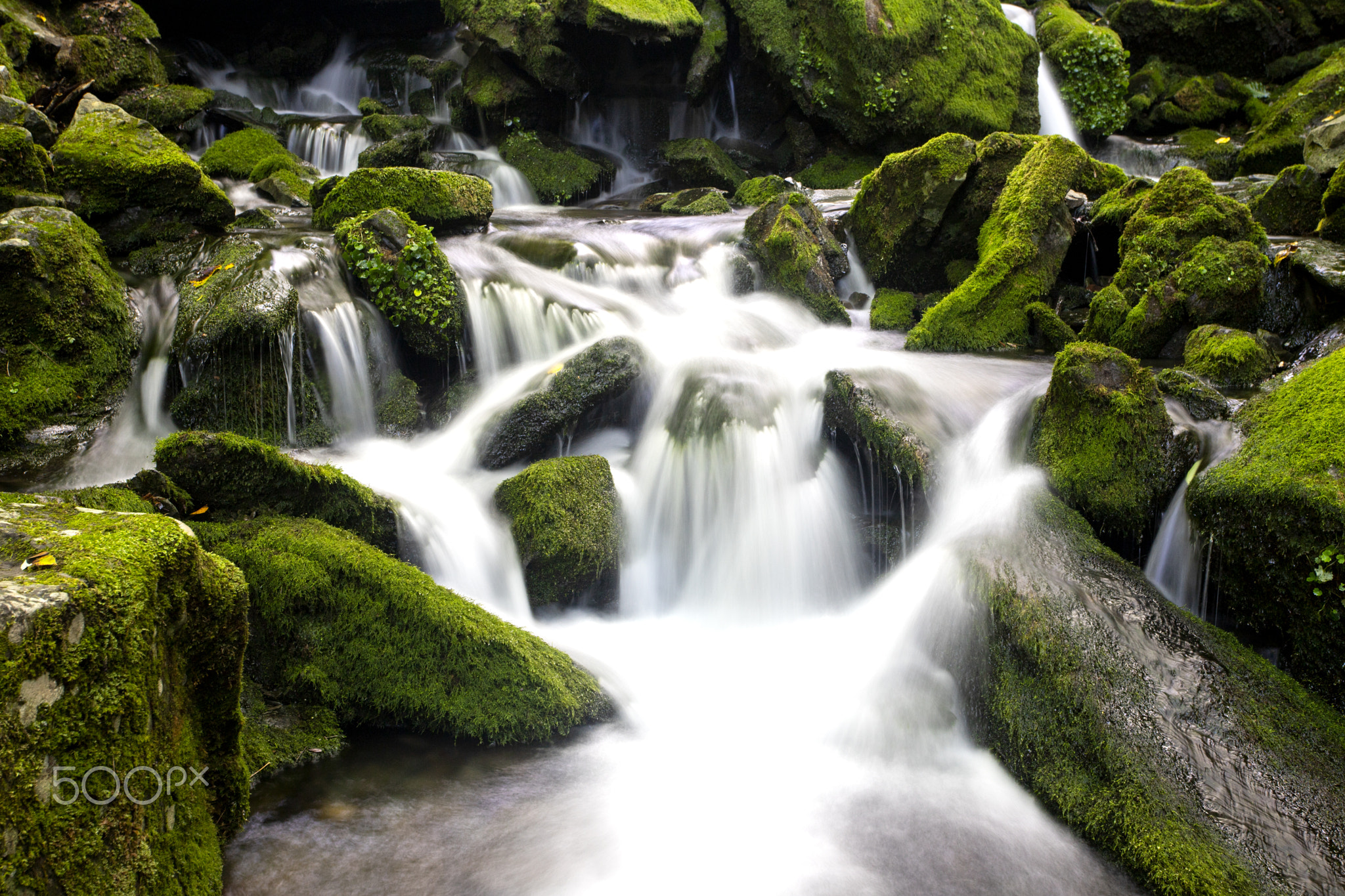 Mossy valley