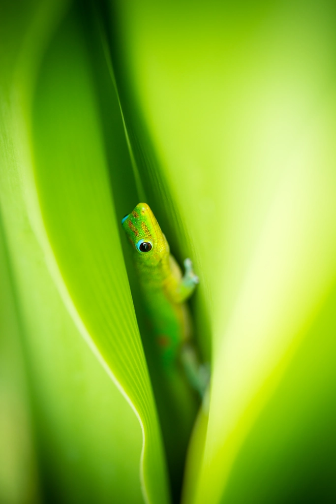 In Between by Spencer Jones on 500px.com