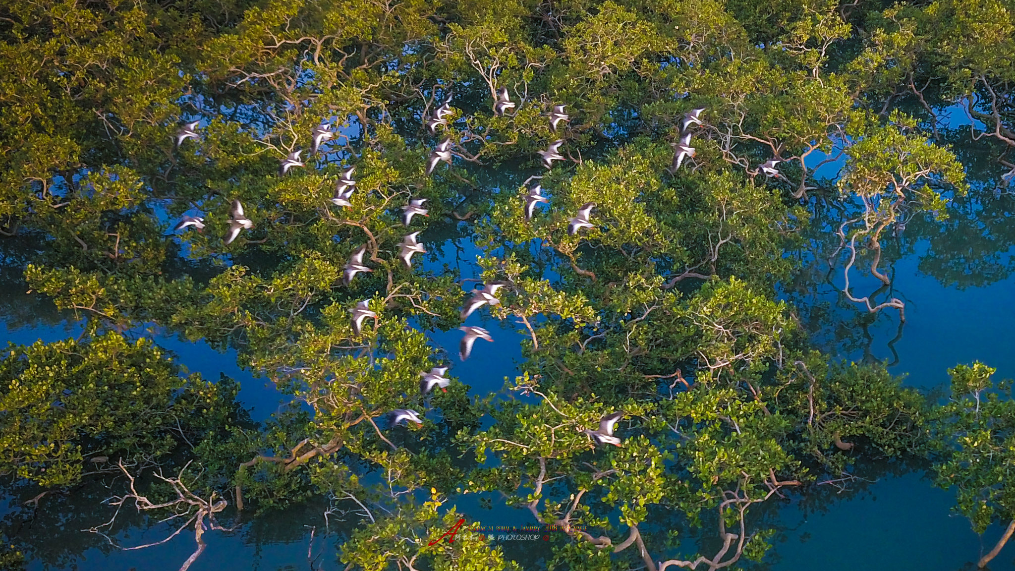 v2?sig=202afdd5674959f1f711438b2db8b6eb8aea73114d11ed2dfffe70f3bf978489