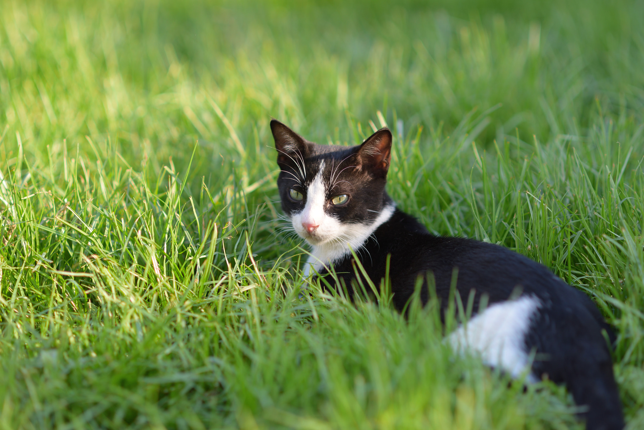 v2?sig=1e1a062db6070fa1090e28accdba54aceb4bb515f2cd1ec1f32a99633b11fe92