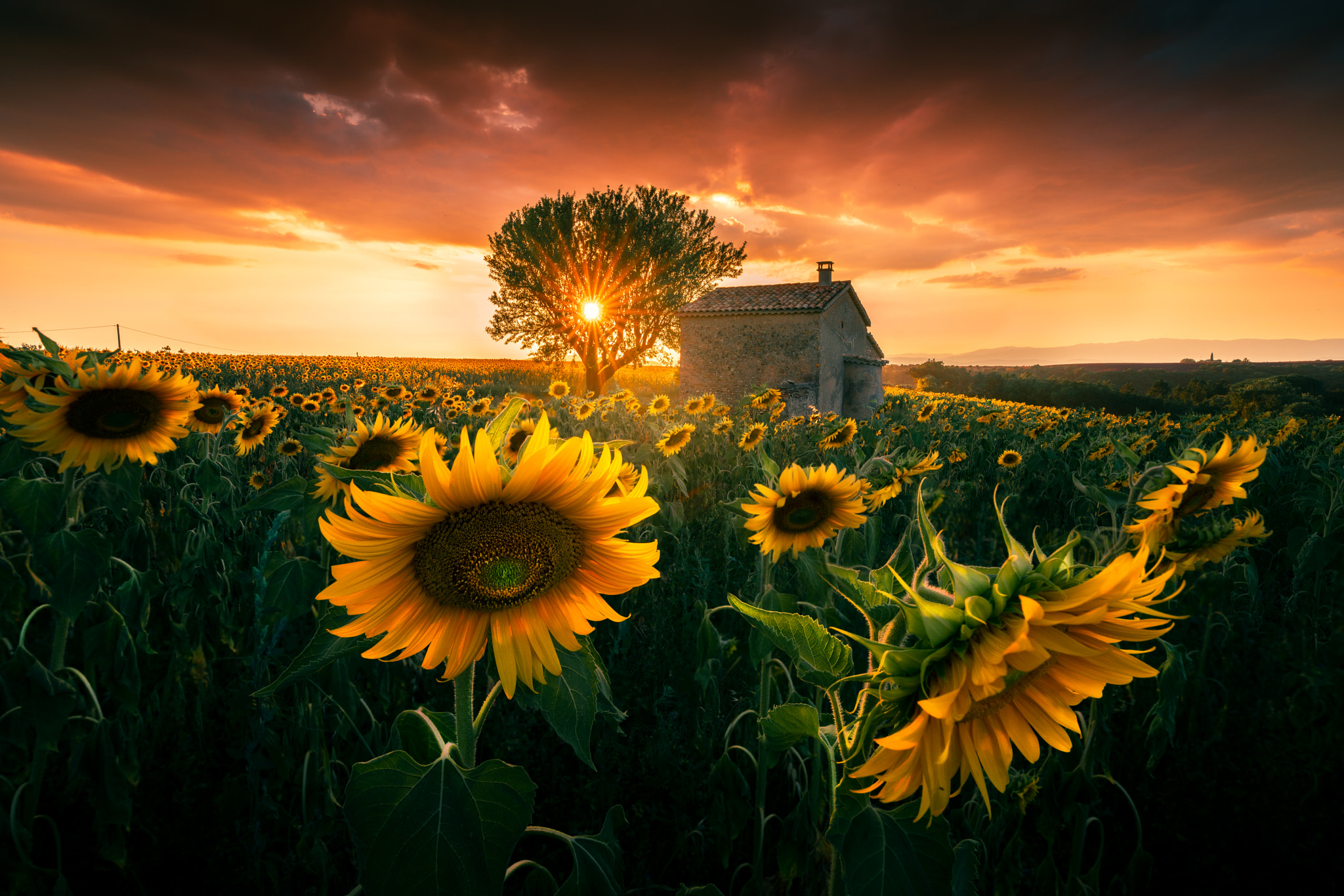 İlhan Eroglu (ilhan1077) Photos / 500px - 1170 x 780 jpeg 317kB