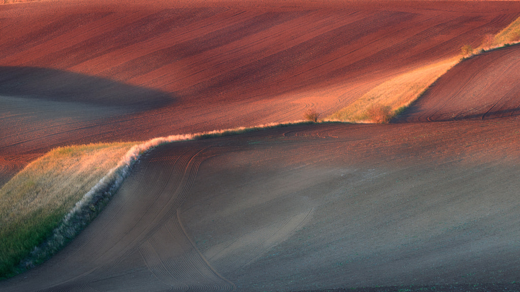 Moravian fields at sunset by Pawe? Ga?ka on 500px.com