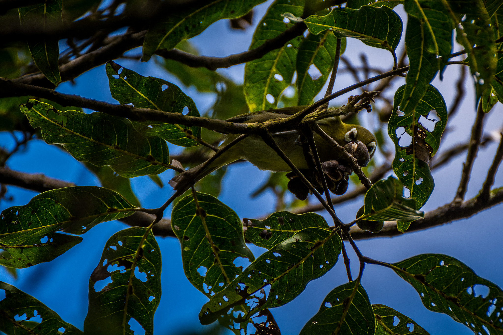 v2?sig=547e881f8fe439bd1cf08ffd882cbd5d15ed58fdae5d844eb4b9f9374f9b4cbc