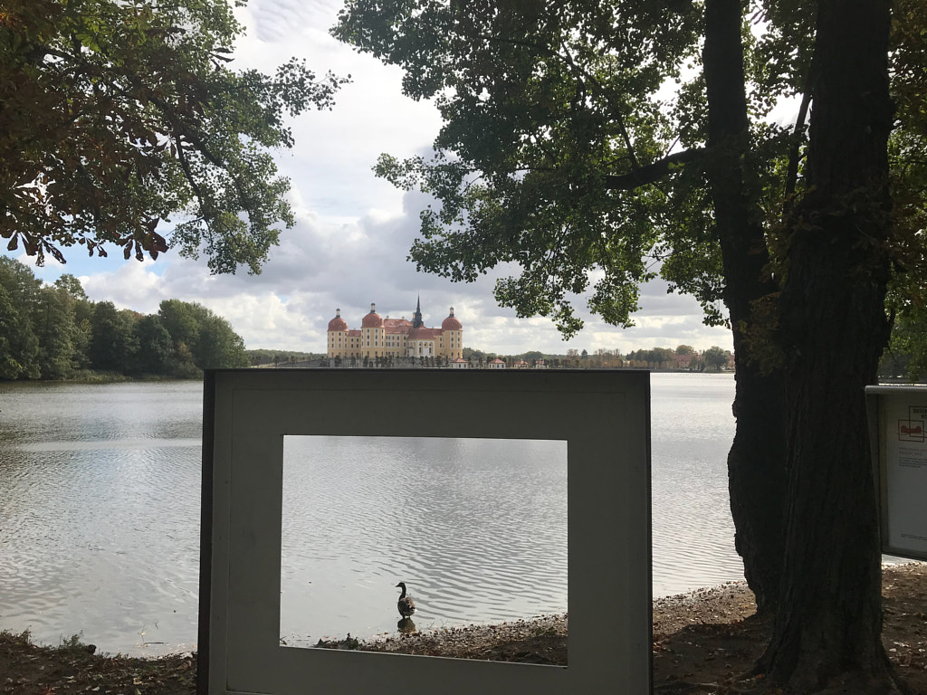 the goose von dirk derbaum auf 500px.com