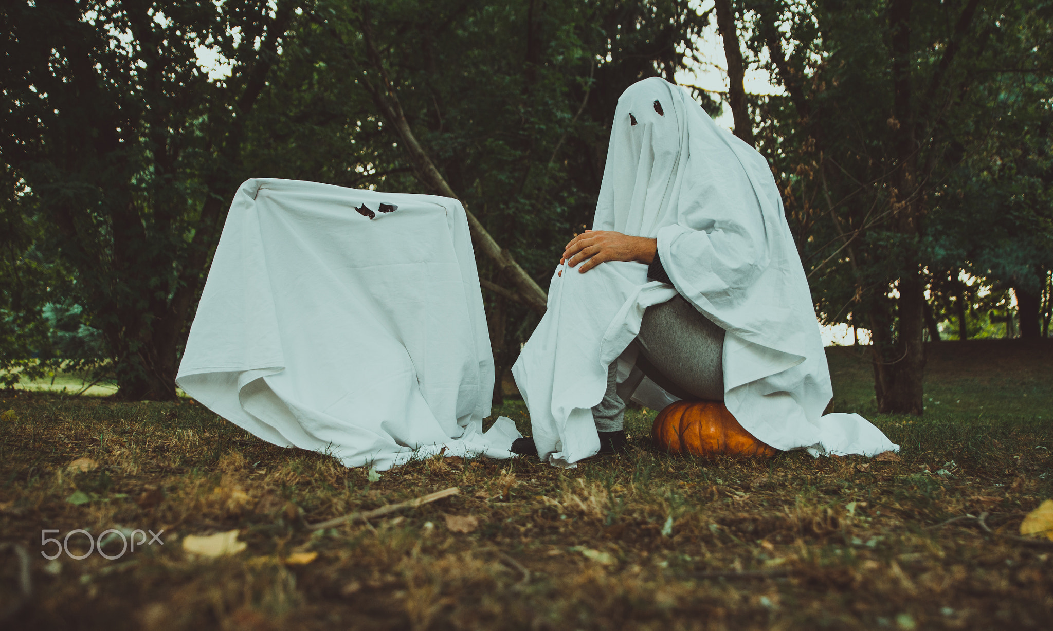 Father and son playing ghosts with white sheets in the garden, c