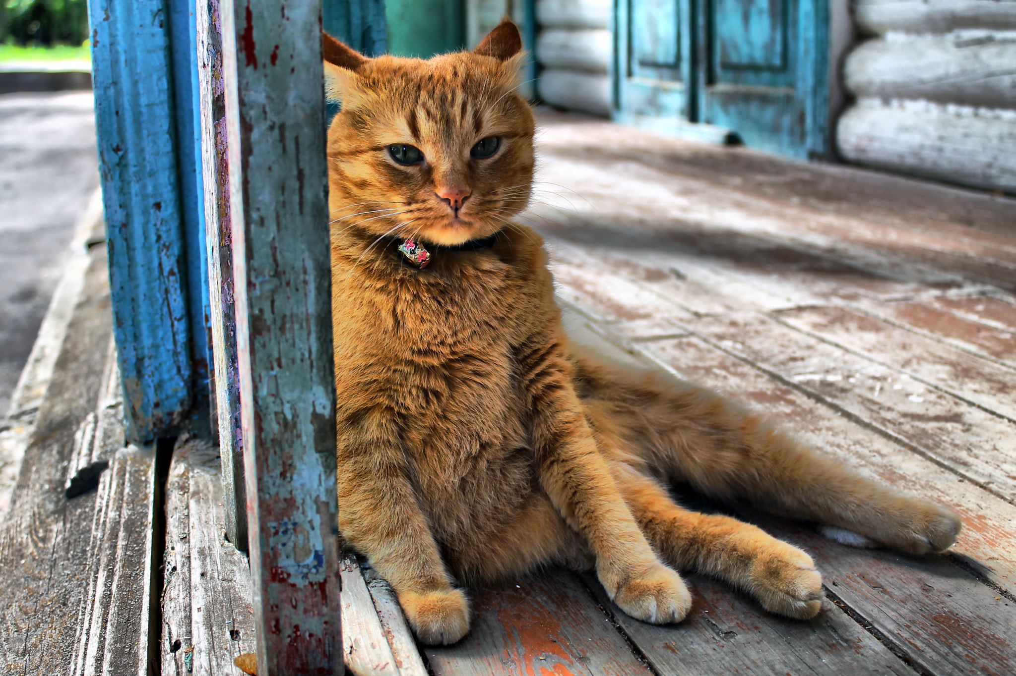 v2?sig=a5a7cad63faeb28bde33fd59e81a91e3458dfefbbe0848e303edcb601eda0fe8