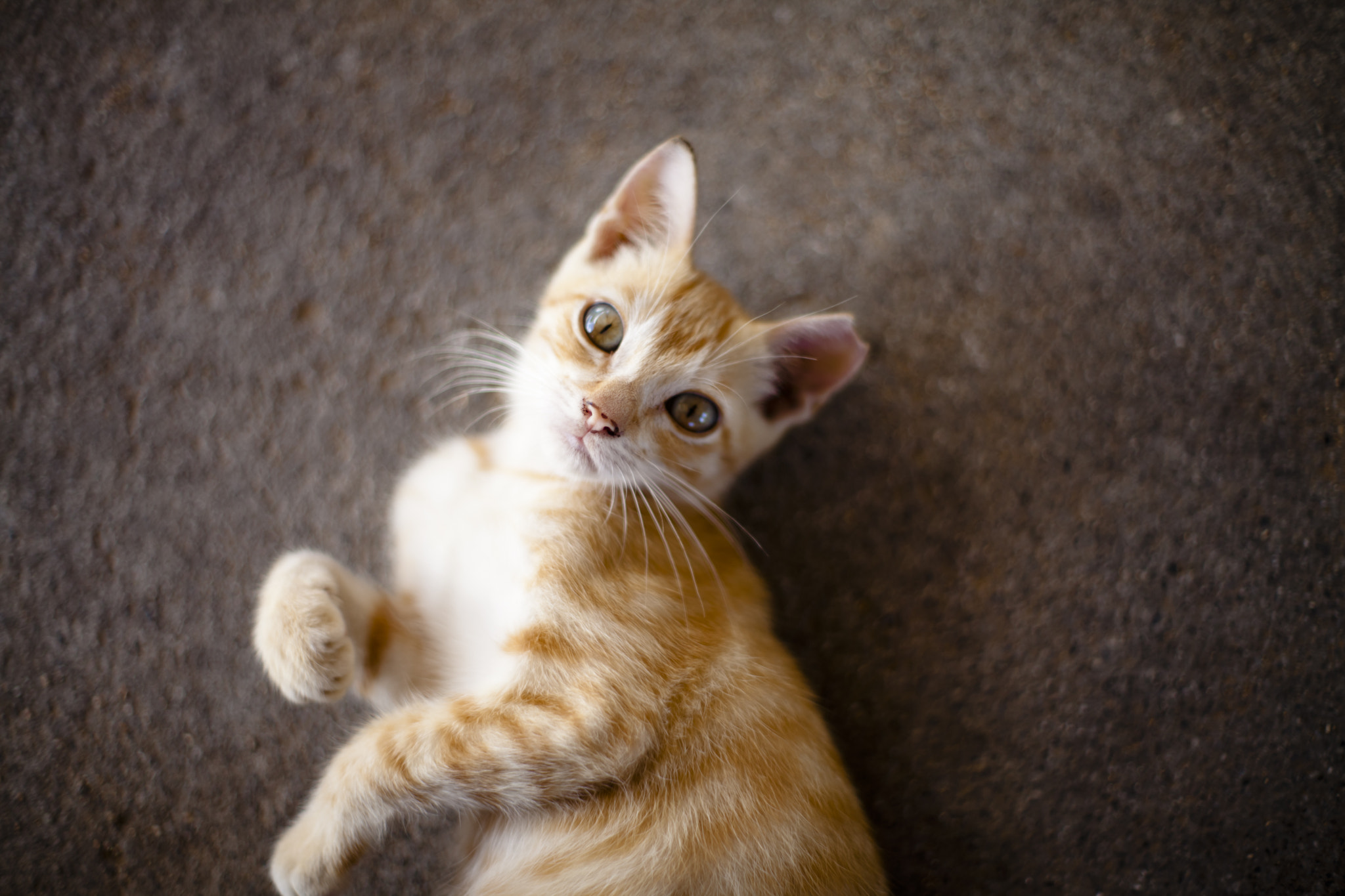 v2?sig=63360cf73237139b4e5aa0f5c4ce06ea9d1d9717766614ccab05d598924e7713