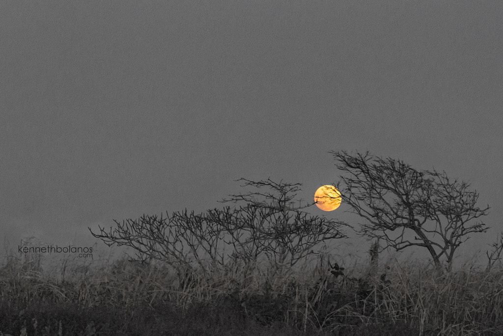 Moon in Bajamar by Kenneth Bolaños Bogantes on 500px.com