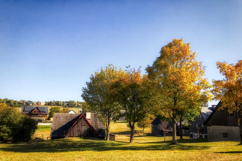 autumn I von dirk derbaum auf 500px.com