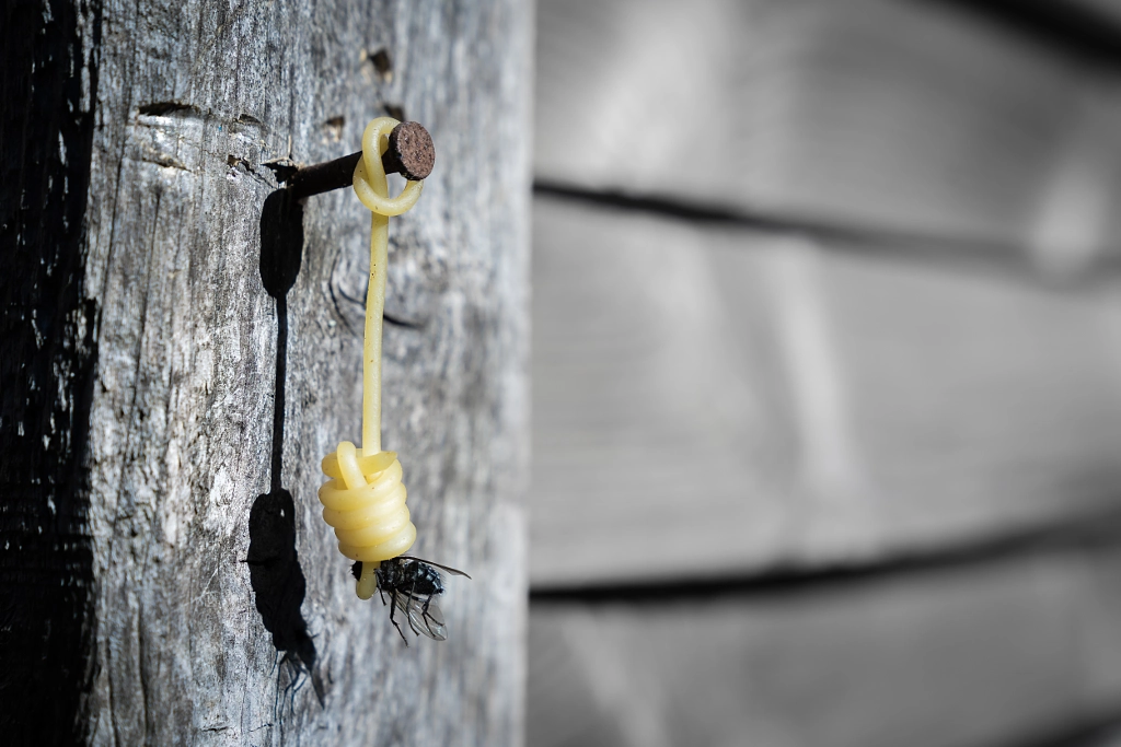 Death by pasta von Benjamin Breitmaier auf 500px.com