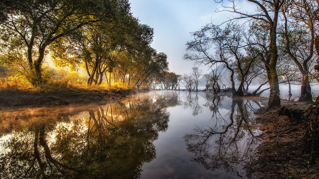 half-and-half by Tiger Seo on 500px.com