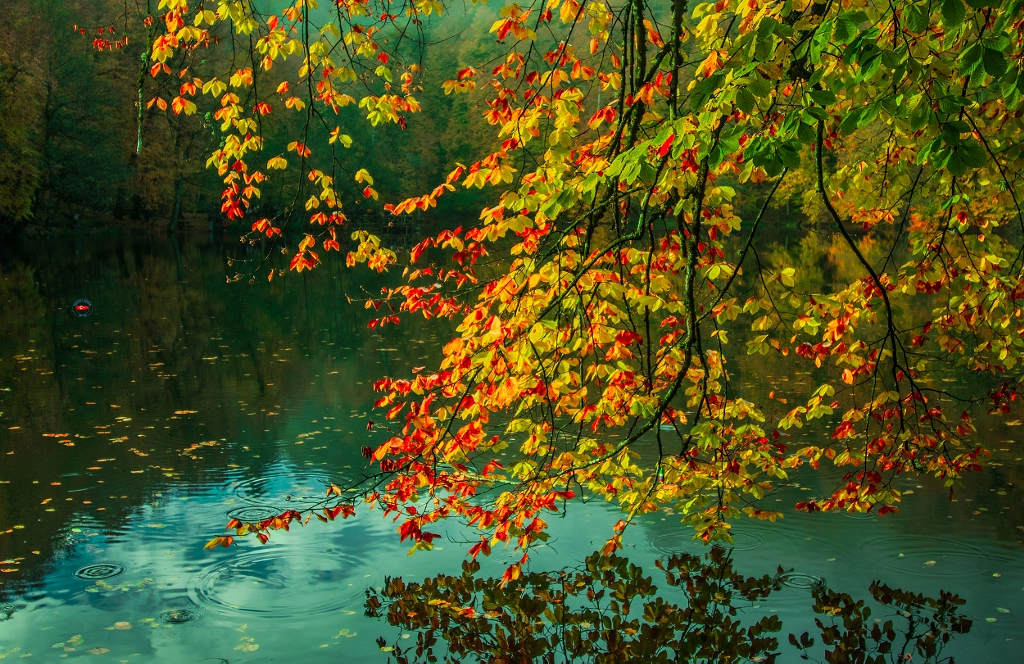 Lake in the autumn, автор — Mehmet Çoban на 500px.com