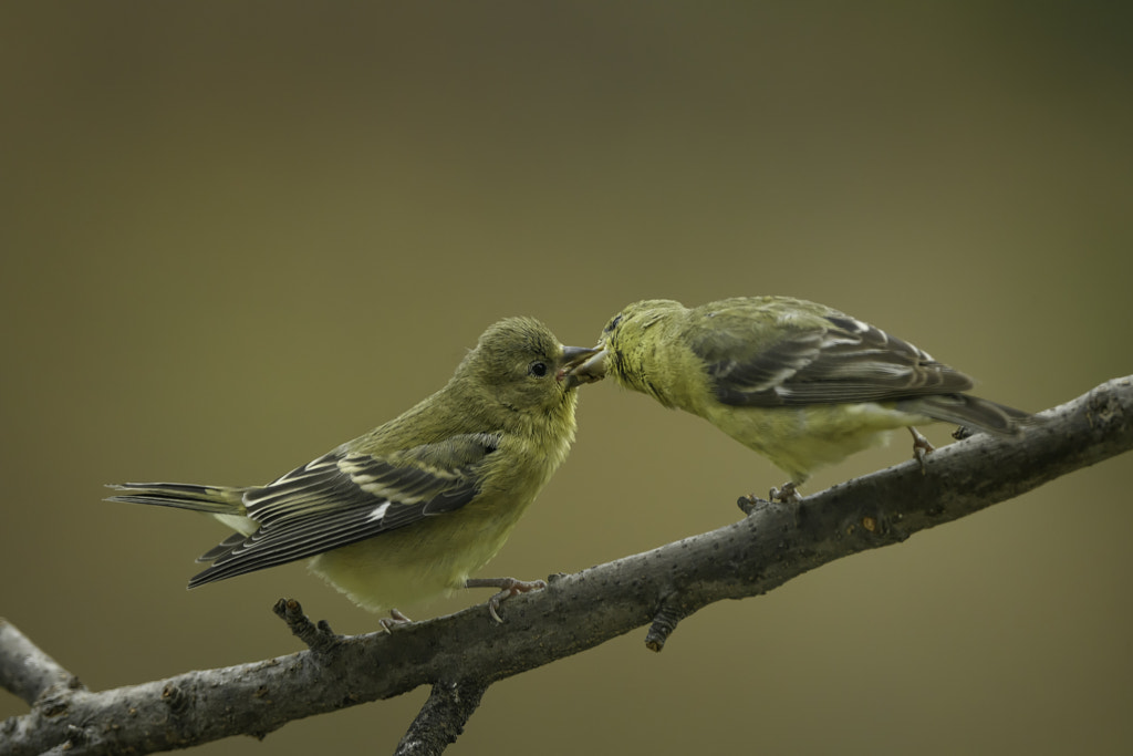 The Payoff by Craig Goettsch on 500px.com