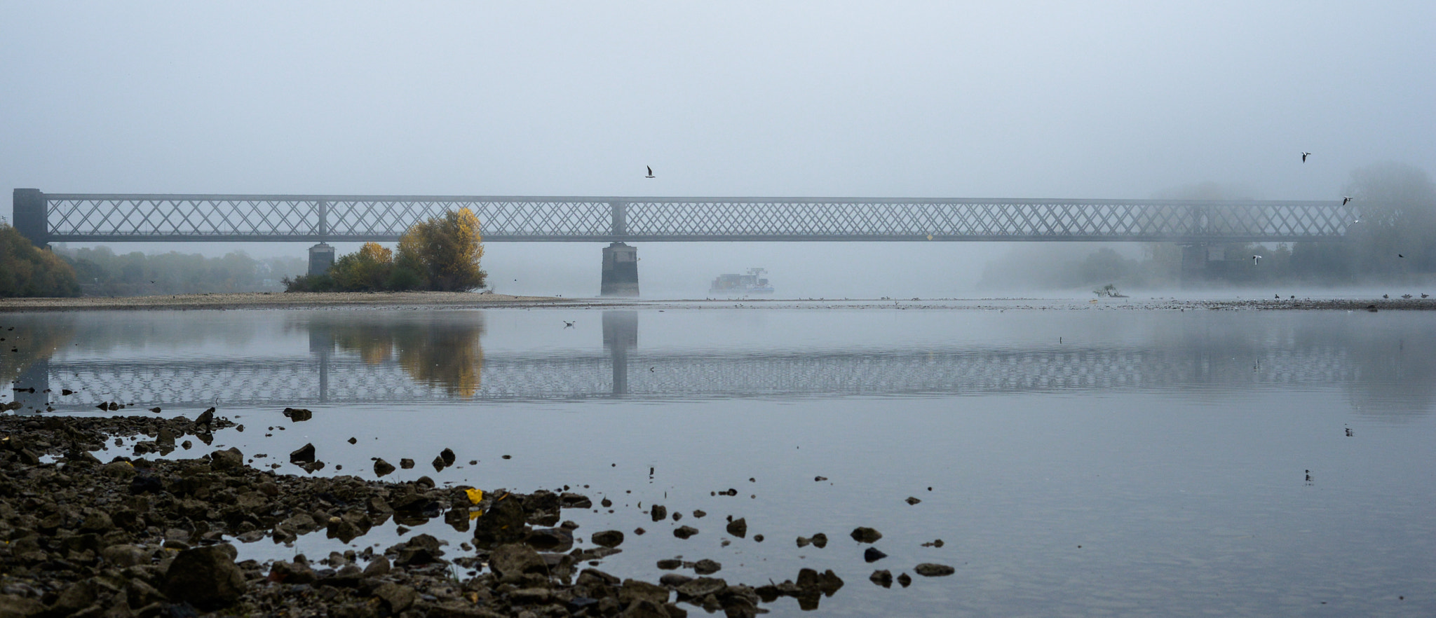 Foggy autumn morning in Germany on the river Rhine