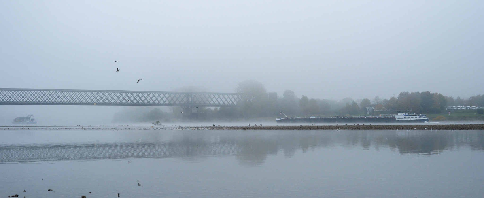 Foggy autumn morning in Germany on the river Rhine