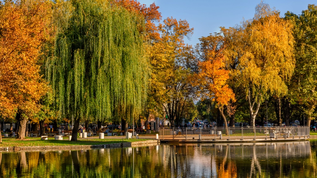 Montanesium park in the autumn by Milen Mladenov on 500px.com