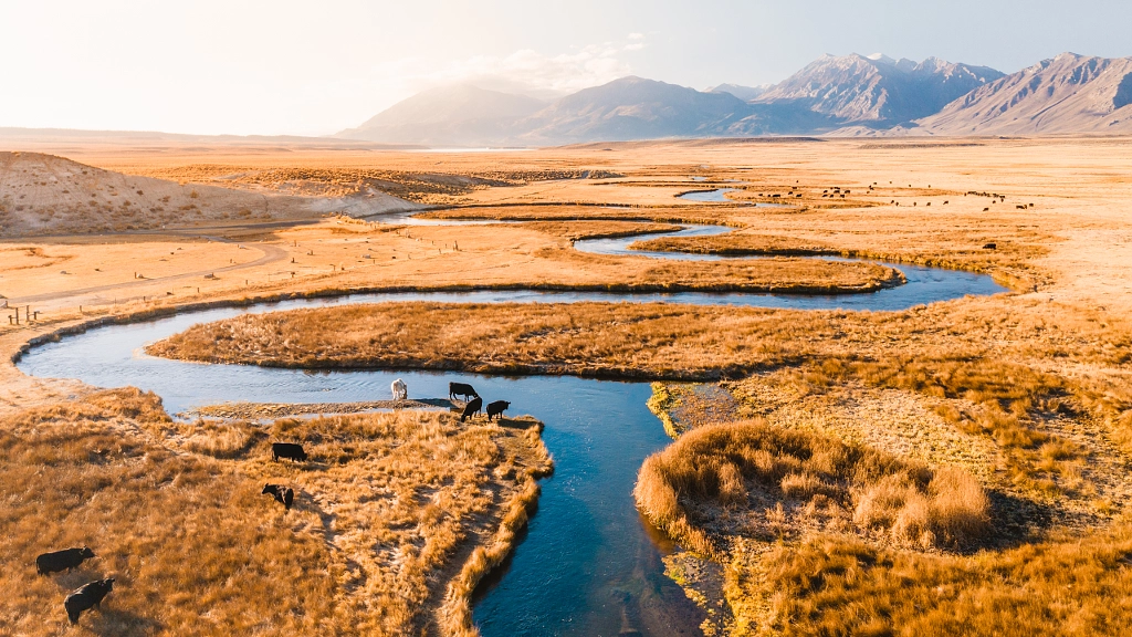 Winding Owens River by Ryan Longnecker on 500px.com