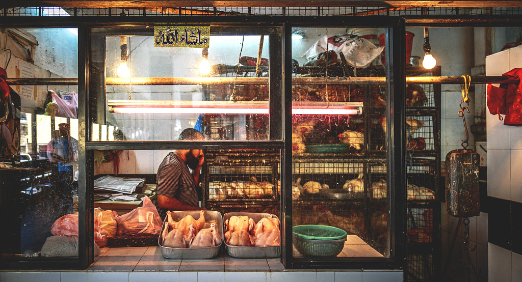 Poultry Butchers, Colpetty Market #3 by Son of the Morning Light on 500px.com