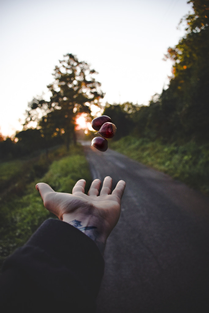 Autumn flavor by Mattia Albertin on 500px.com