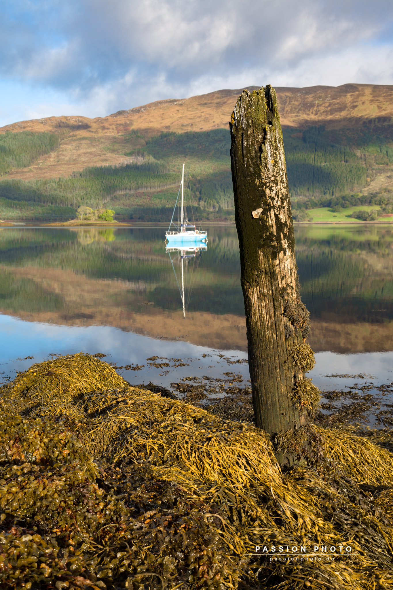 The peg and the sailboat in harmony