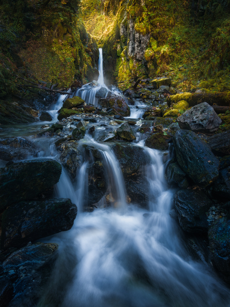 Welcome to the Jungle by Ole Henrik Skjelstad on 500px.com