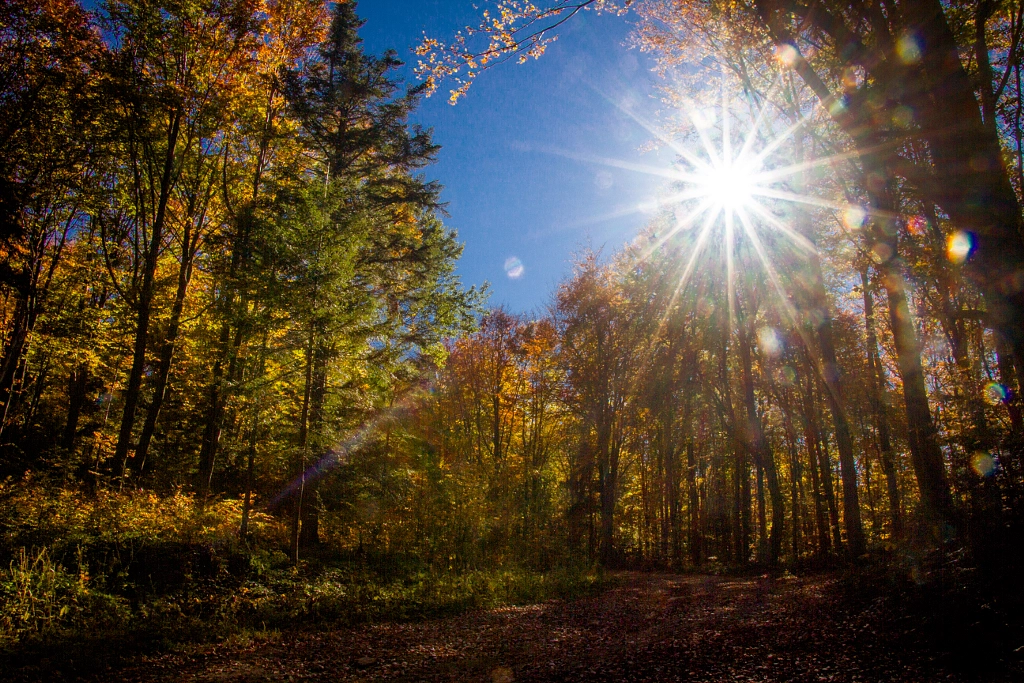 October sun by Yaroslav Baran on 500px.com