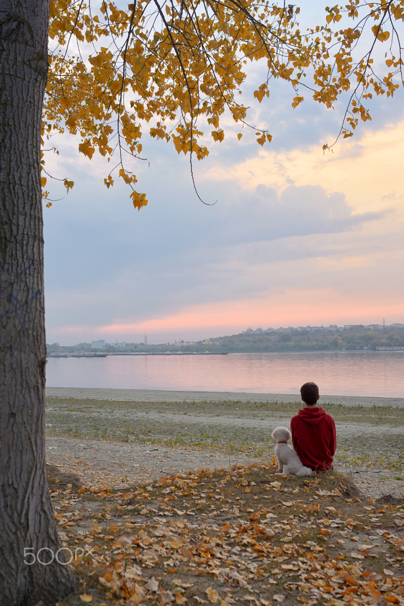 Boy and his Dog