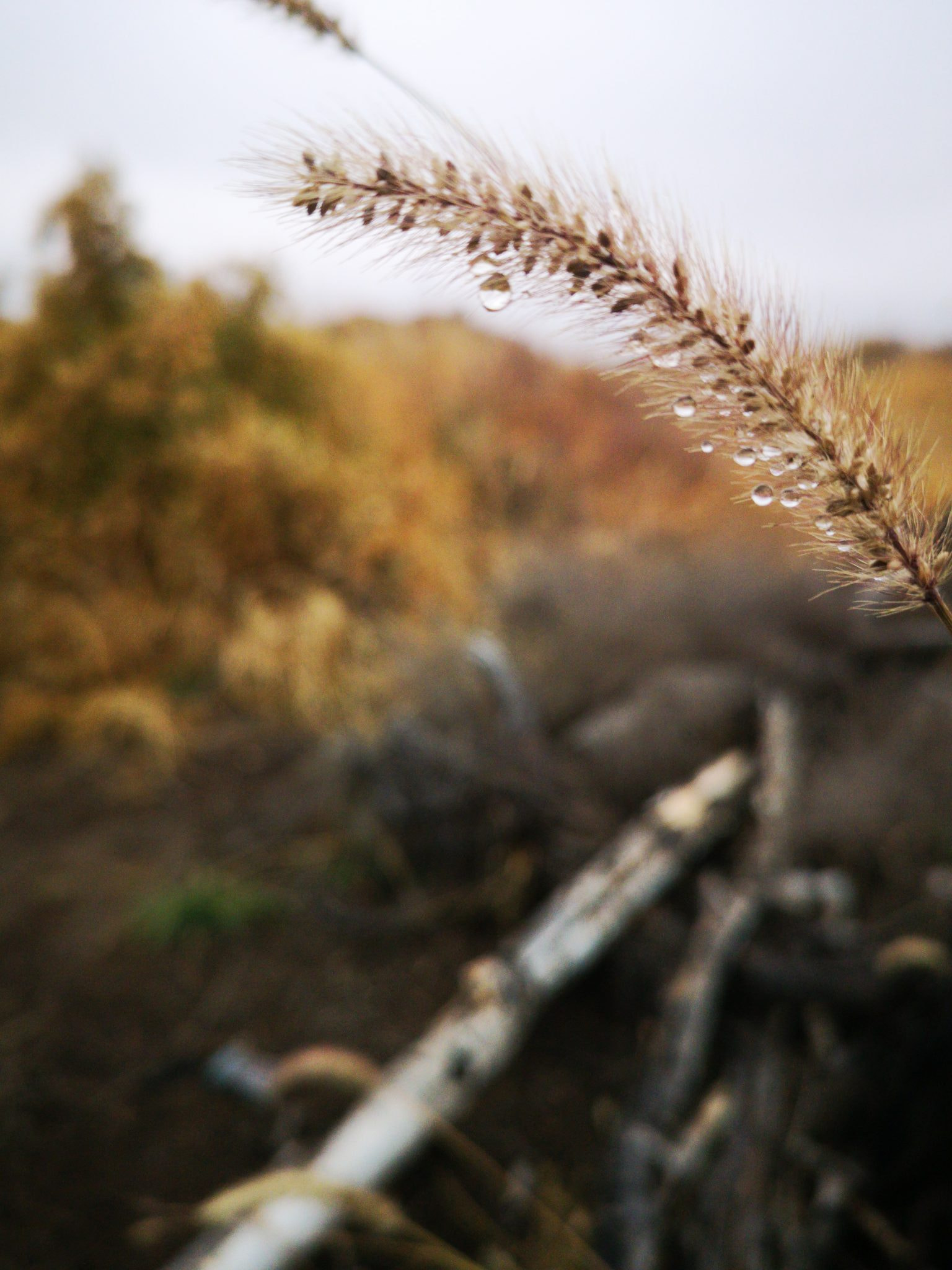 v2?sig=192488211ba2bb6cfdb4ef880eb12313160421c592e87fd89f02cf24be946337