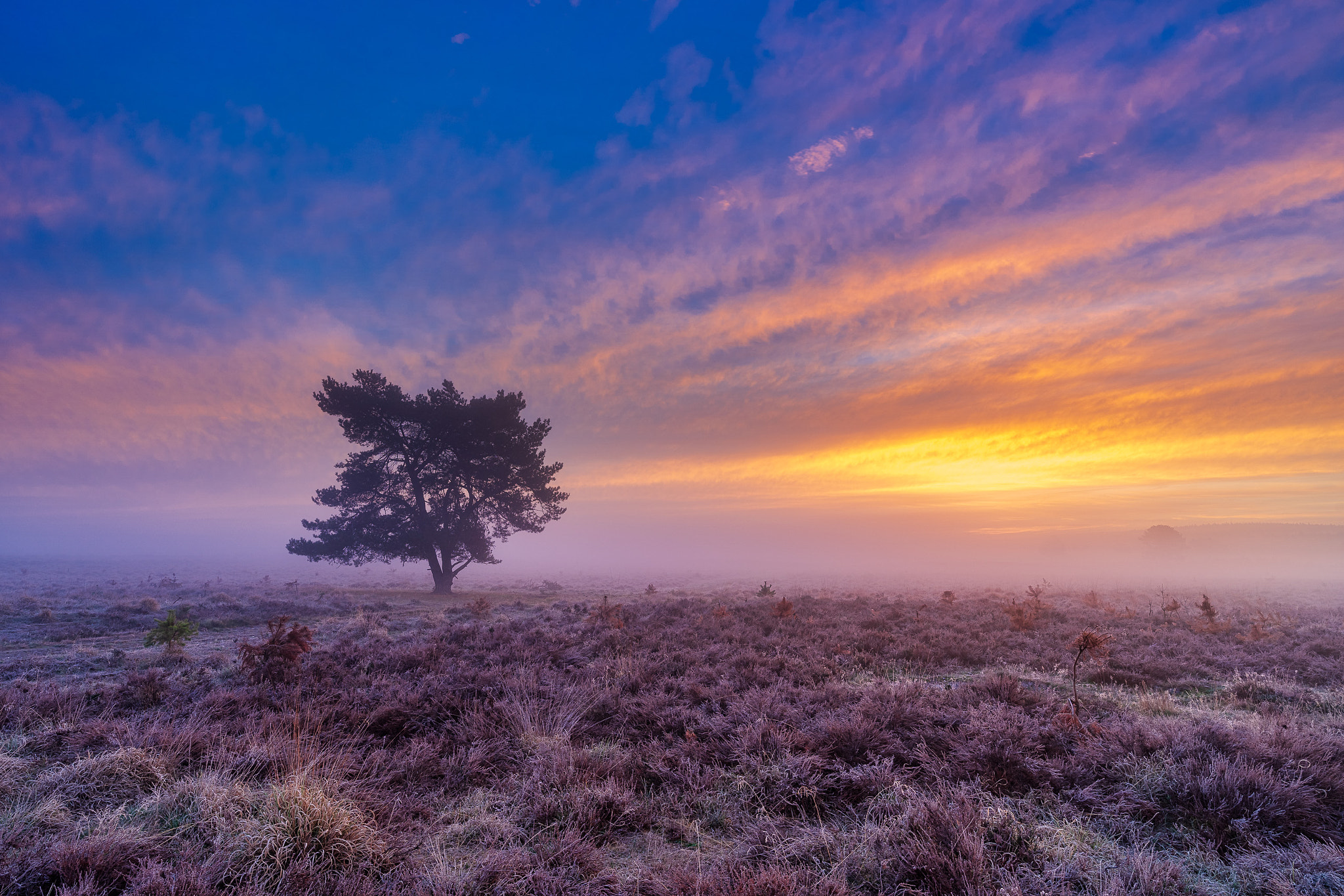 Kleuren  op de Veluwezoom