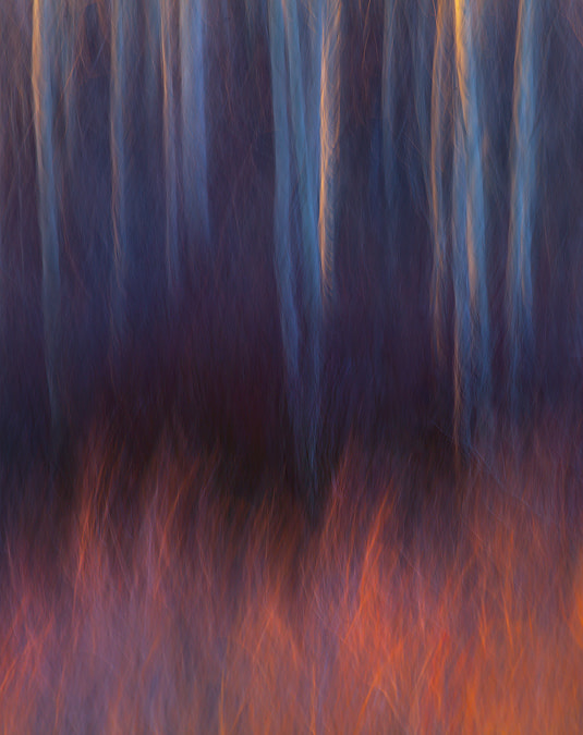 Feu de forêt par Marc Adamus sur 500px.com