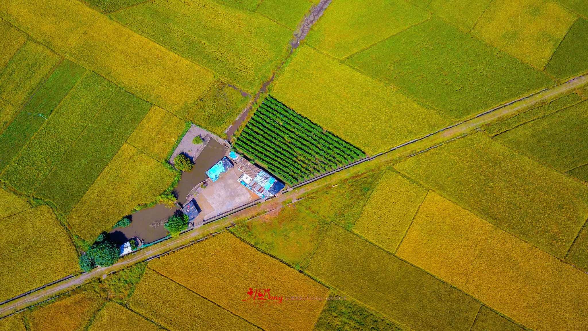 v2?sig=421e01d78f332151b6c94e3b09e9976940df20562a8539291de734f668f9fd30