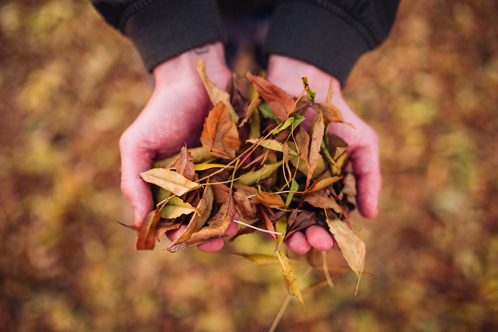 autumn by Omar Tursi? on 500px.com