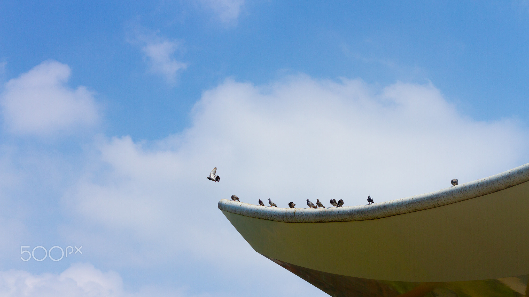 Only You Want To Fly