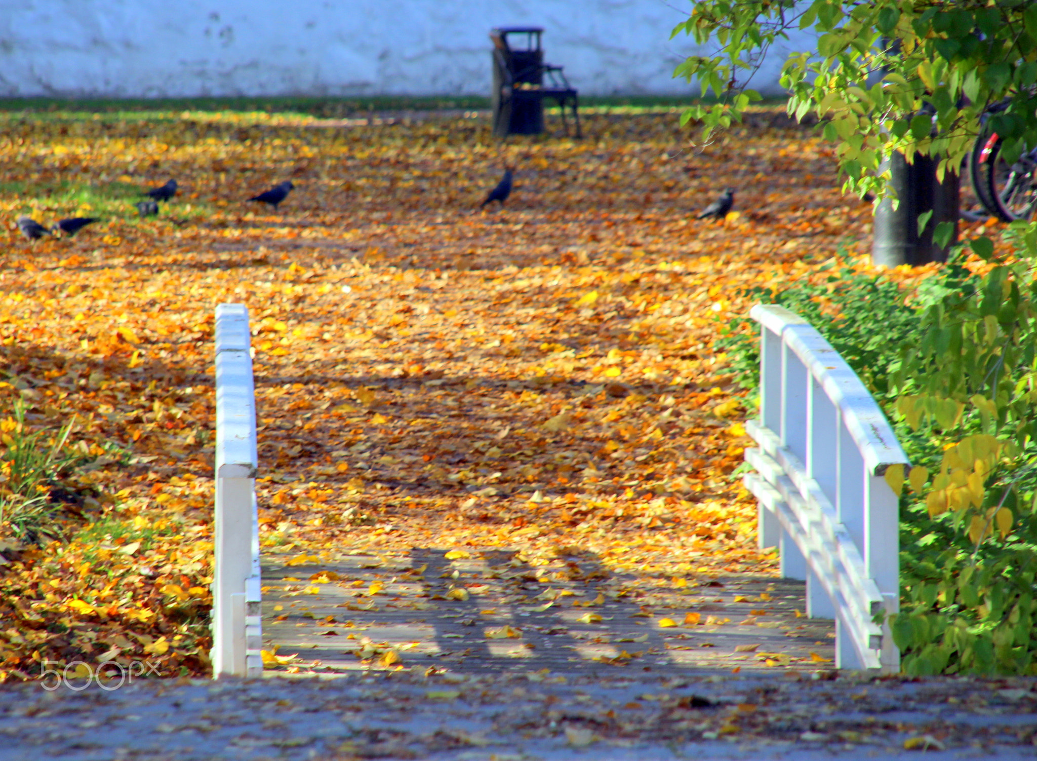 The old walking bridge...