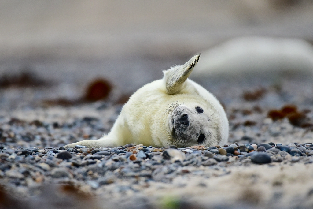 Bye... by Jo543 on 500px.com