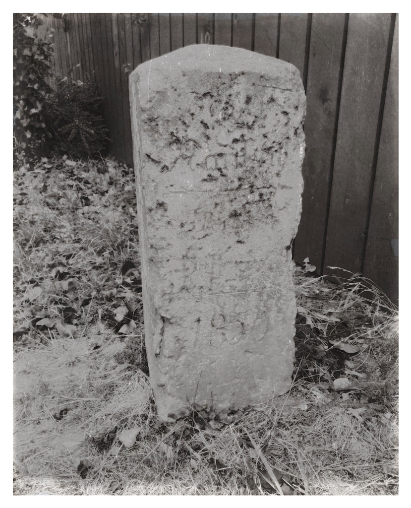 1856.jpg von dirk derbaum auf 500px.com