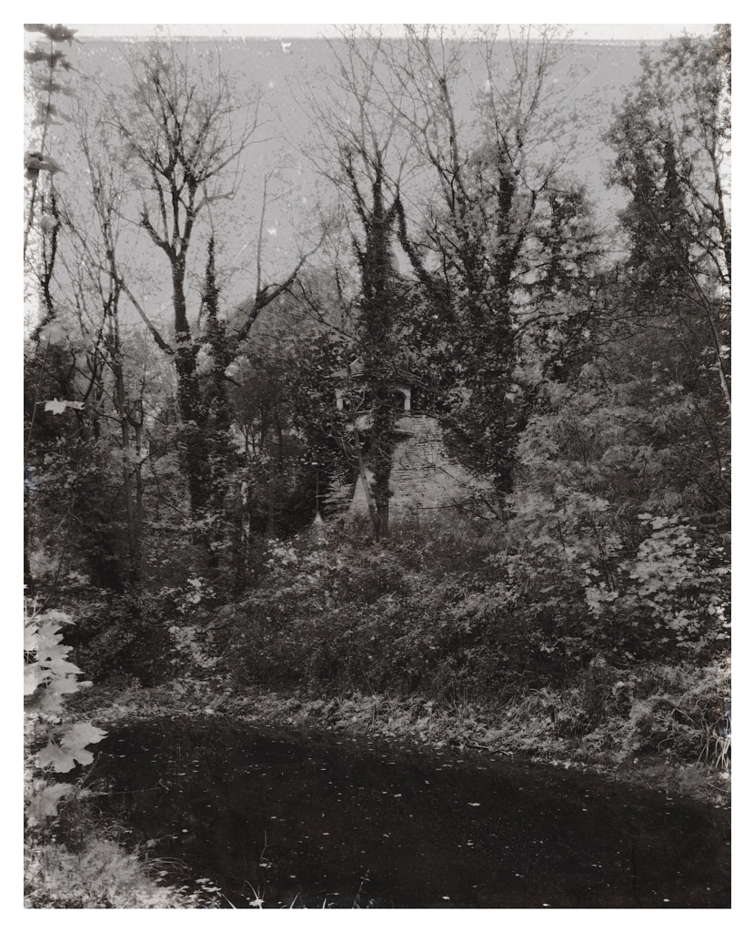 teich von dirk derbaum auf 500px.com