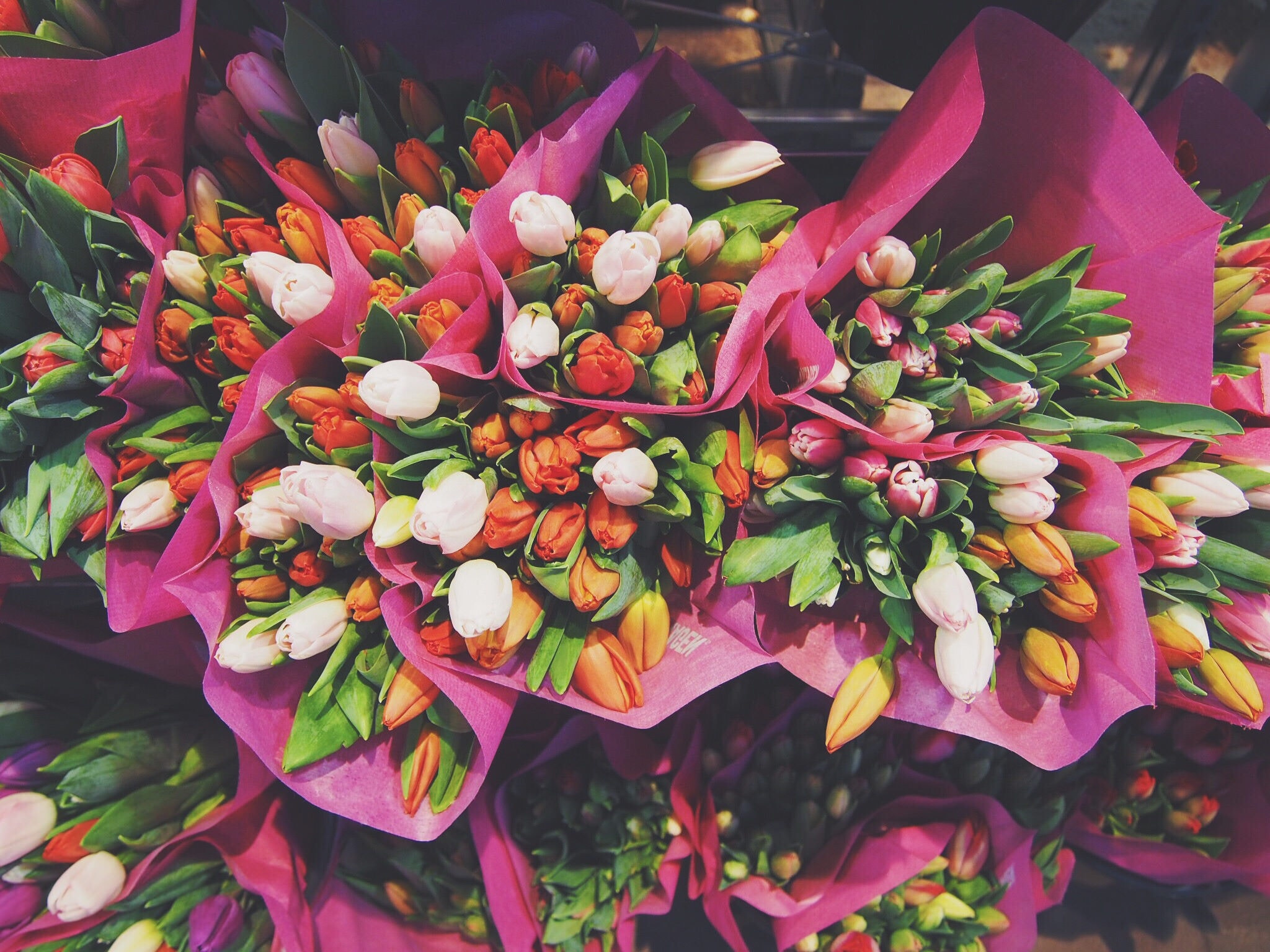 Wholesale Flowers for Sale |  Buy Bulk Flowers