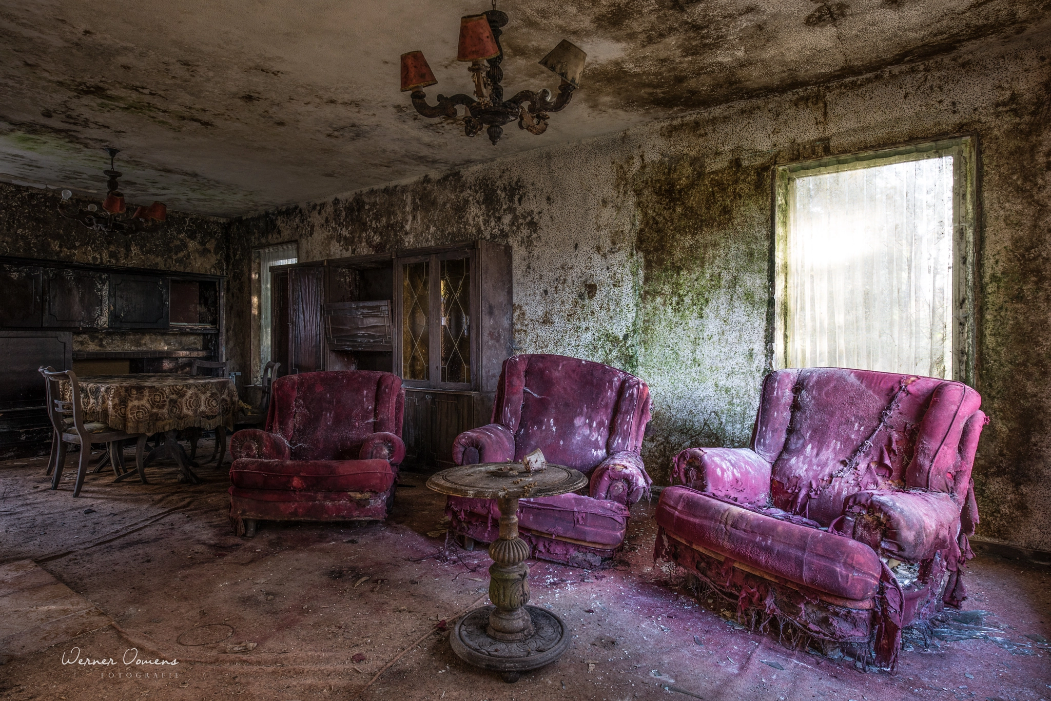 the mold house