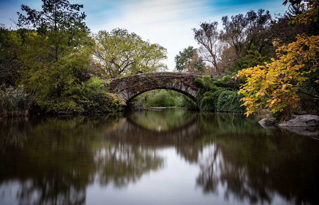 Gapstow Bridge by Wale Omiyale on 500px.com