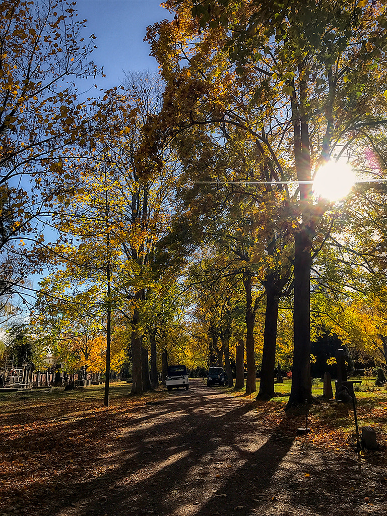 30.10.2018 von dirk derbaum auf 500px.com