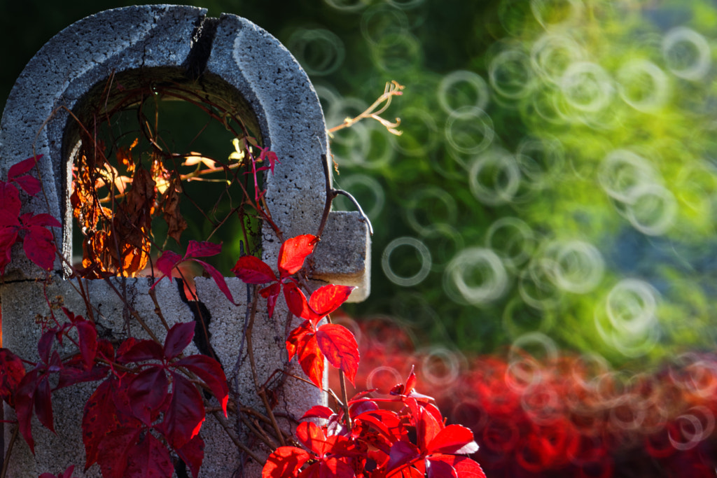 Chimney by Gina Nannina on 500px.com