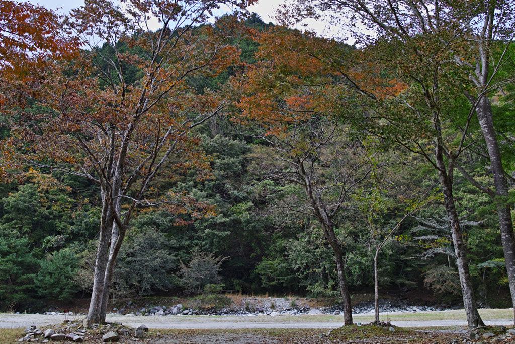 500px.comのfotois youさんによるTanzawa Japan early autumn