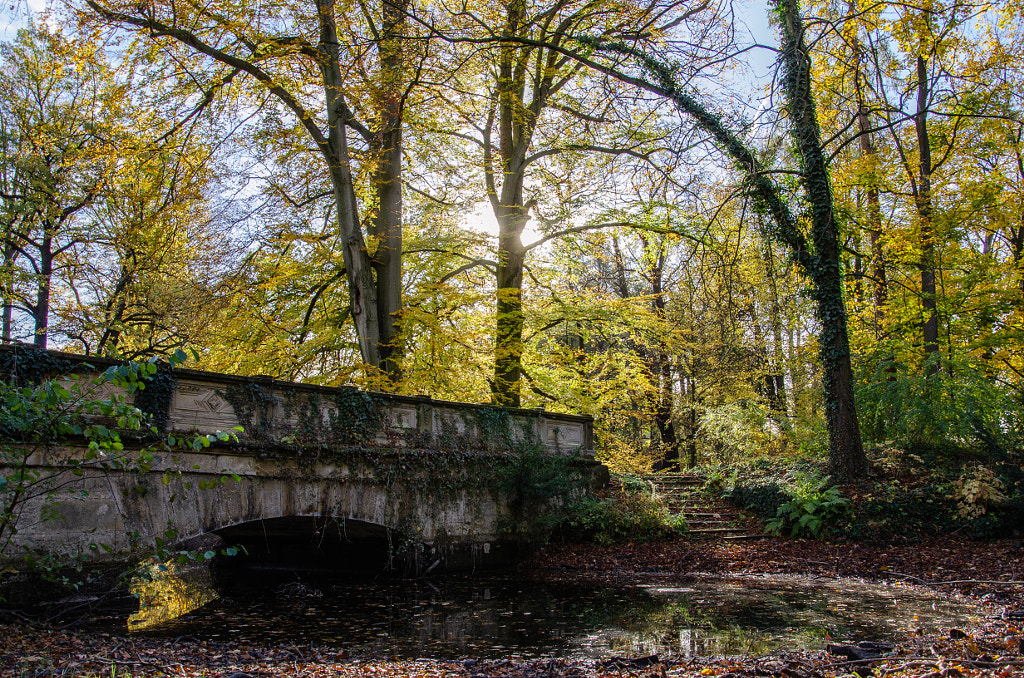 autumn II von dirk derbaum auf 500px.com