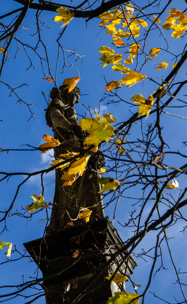 autumn I von dirk derbaum auf 500px.com