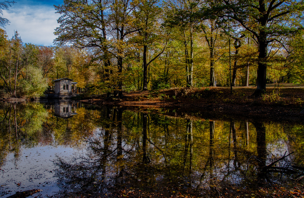 autumn III von dirk derbaum auf 500px.com