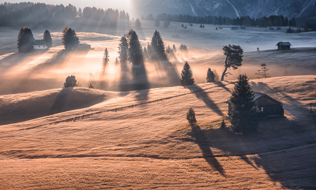 Morning Contrasts by Georgi Donev on 500px.com