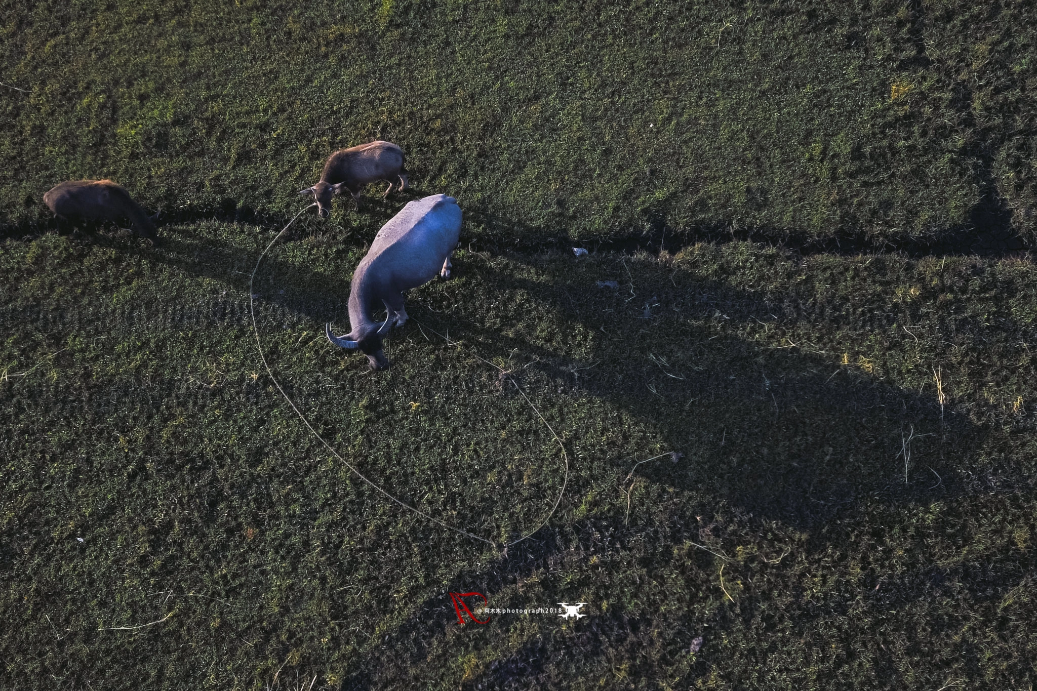 v2?sig=876dadc999f4fb34f90be1038f210d7aa