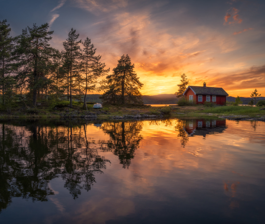 Return to Yggdrasill by Ole Henrik Skjelstad on 500px.com