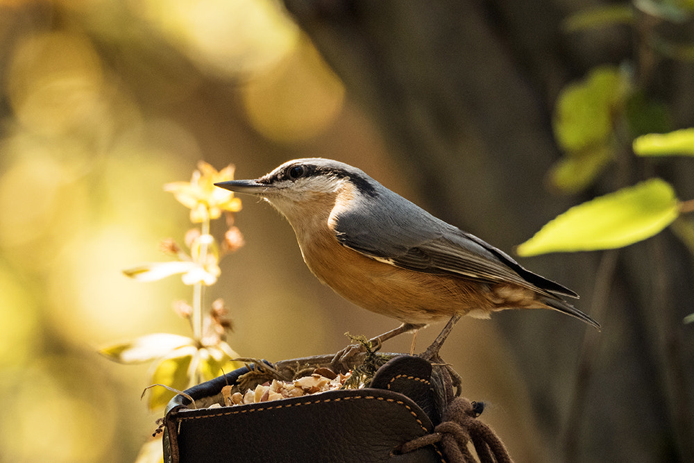 boot-poser by Susanne Ludwig on 500px.com